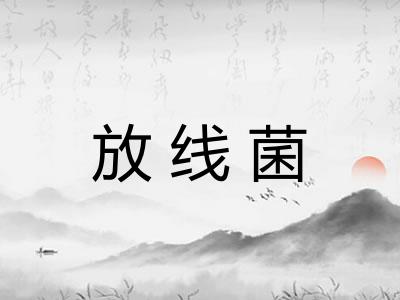 放线菌