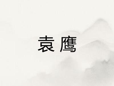 袁鹰