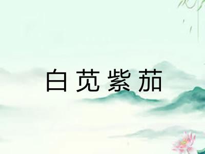 白苋紫茄