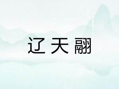 辽天翮