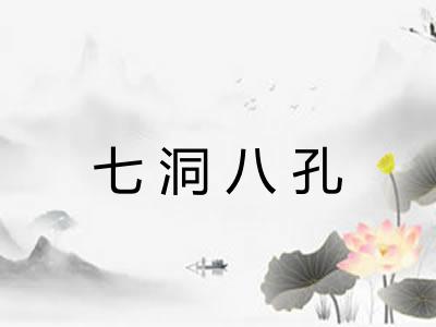 七洞八孔