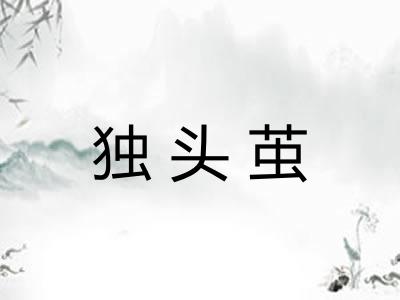 独头茧