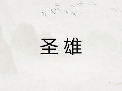 圣雄