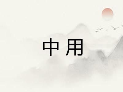 中用