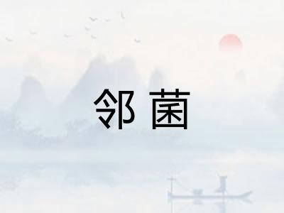 邻菌