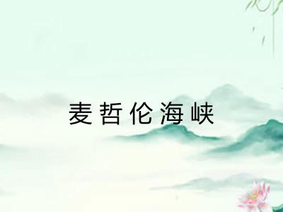 麦哲伦海峡