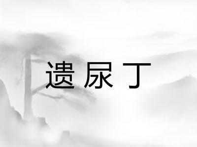 遗尿丁