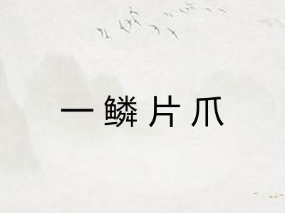 一鳞片爪