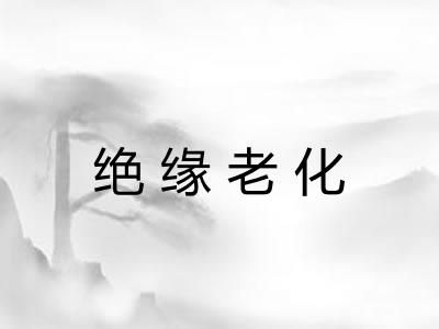 绝缘老化