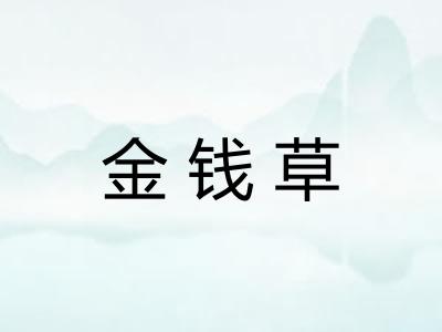 金钱草