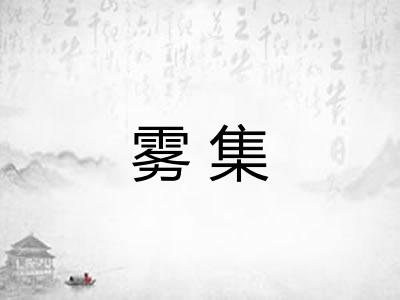 雾集