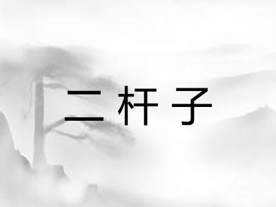 二杆子