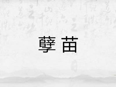 孽苗