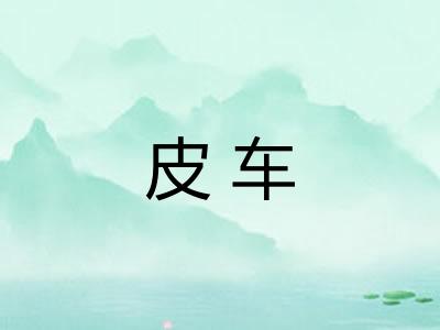 皮车