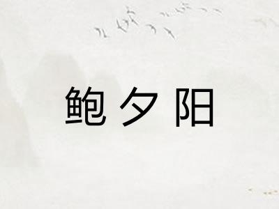 鲍夕阳