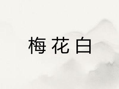 梅花白