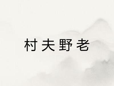 村夫野老