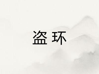 盗环