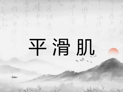 平滑肌
