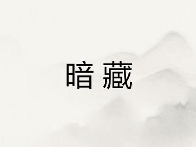 暗藏