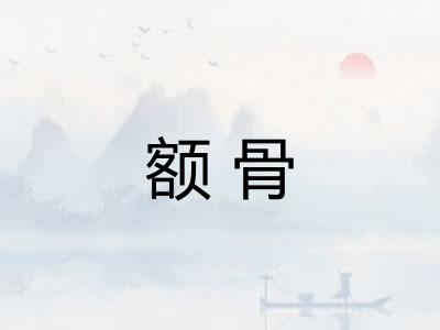 额骨