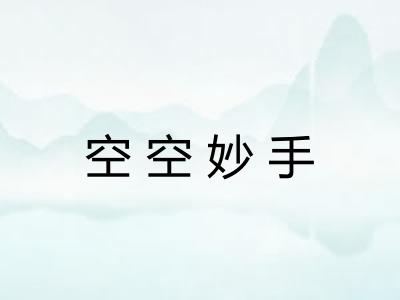 空空妙手