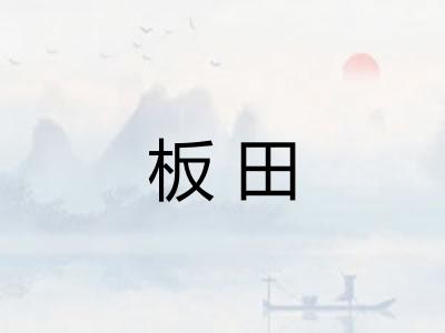 板田