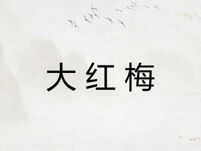 大红梅