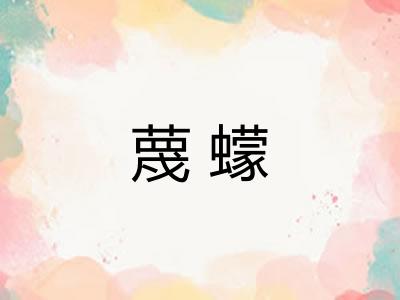 蔑蠓