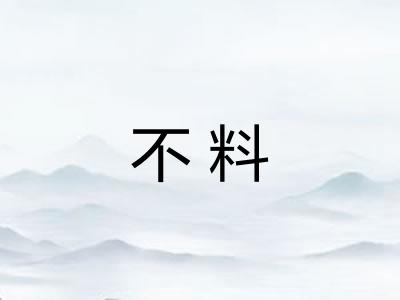 不料