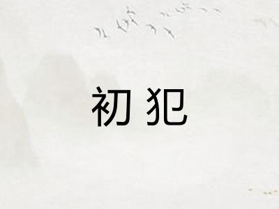 初犯