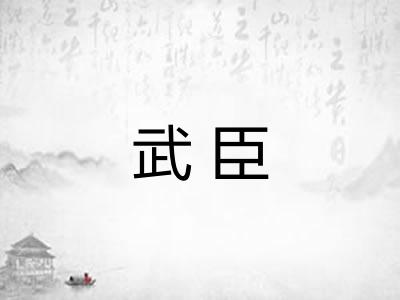 武臣