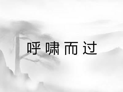 呼啸而过