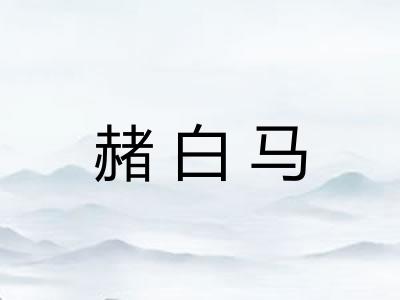赭白马