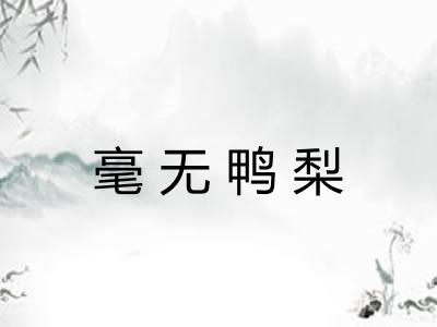毫无鸭梨