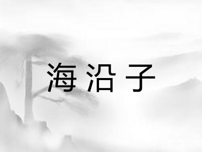 海沿子