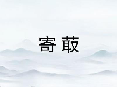 寄菆