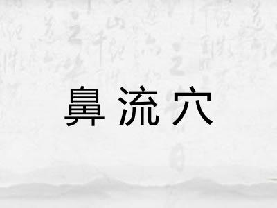 鼻流穴 鼻流穴