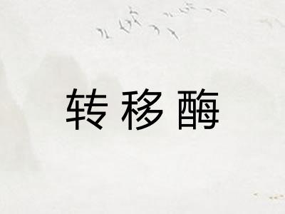 转移酶