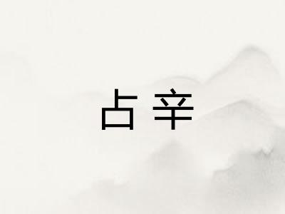 占辛