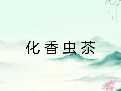 化香虫茶