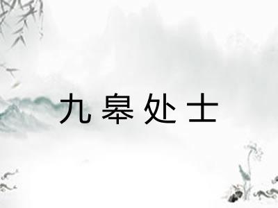 九皋处士
