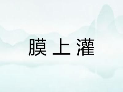 膜上灌