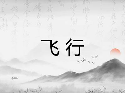 飞行