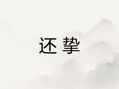 还挚