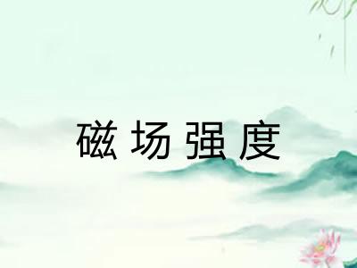 磁场强度