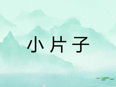小片子