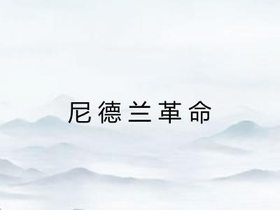 尼德兰革命