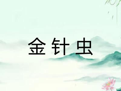 金针虫