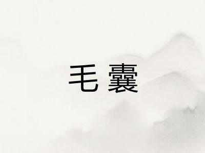毛囊